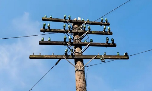 野外電線桿、輸電線電塔也是否需要接地？